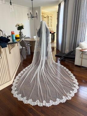 Pronovias Ivory Lace-Edged Cathedral Veil